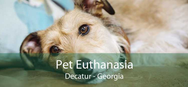 Pet Euthanasia Decatur - Georgia