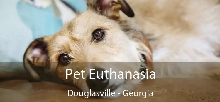 Pet Euthanasia Douglasville - Georgia