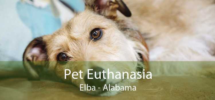 Pet Euthanasia Elba - Alabama
