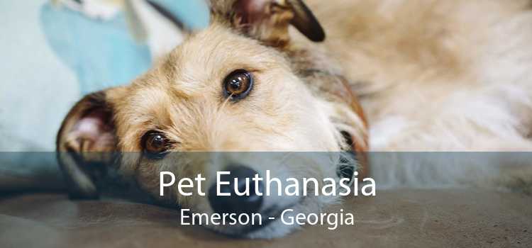 Pet Euthanasia Emerson - Georgia