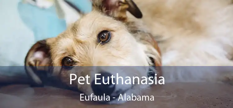 Pet Euthanasia Eufaula - Alabama