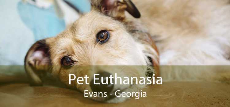 Pet Euthanasia Evans - Georgia