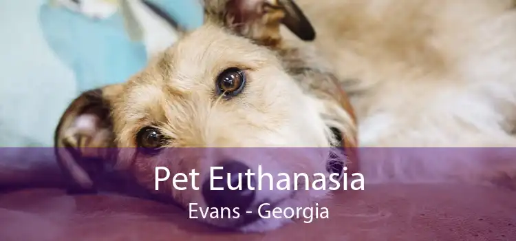 Pet Euthanasia Evans - Georgia