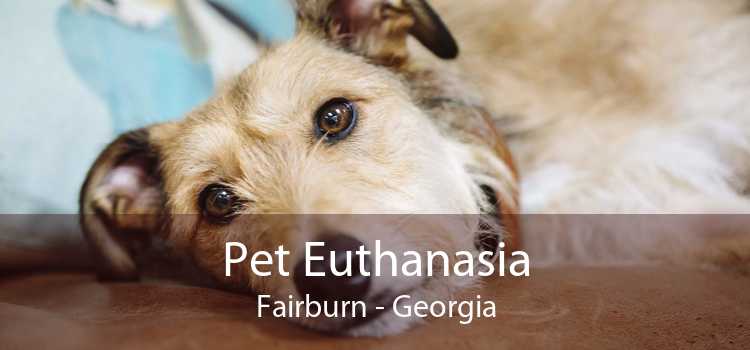 Pet Euthanasia Fairburn - Georgia