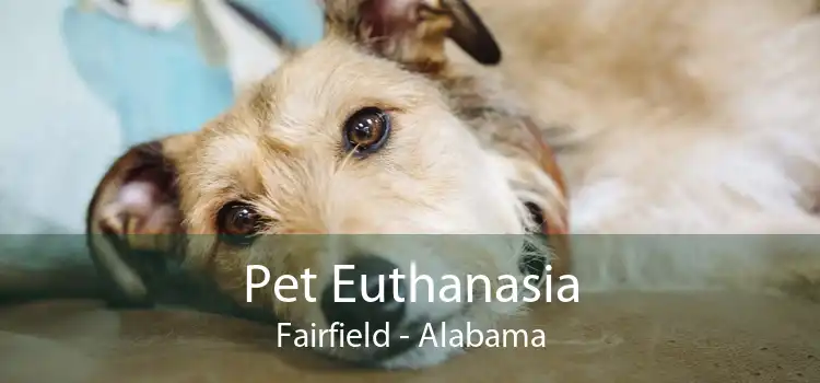 Pet Euthanasia Fairfield - Alabama