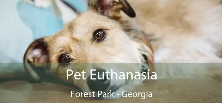 Pet Euthanasia Forest Park - Georgia
