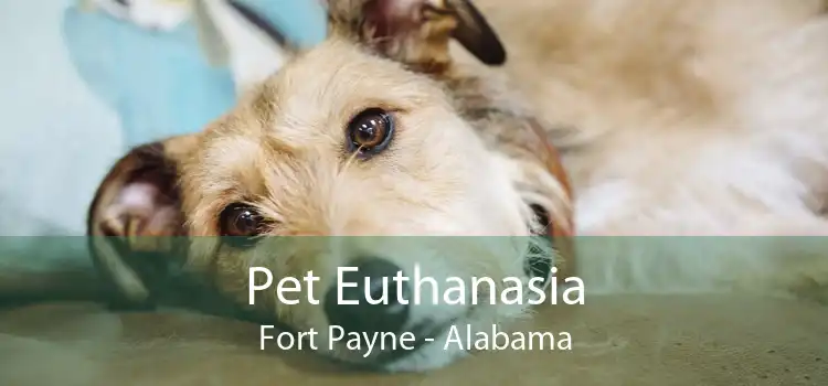 Pet Euthanasia Fort Payne - Alabama