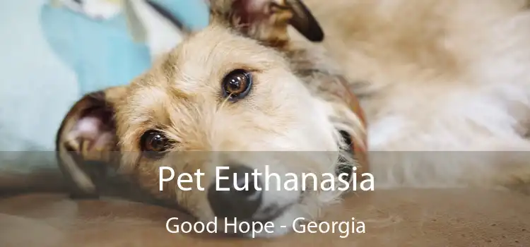 Pet Euthanasia Good Hope - Georgia