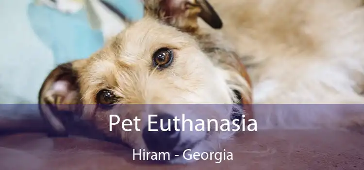Pet Euthanasia Hiram - Georgia