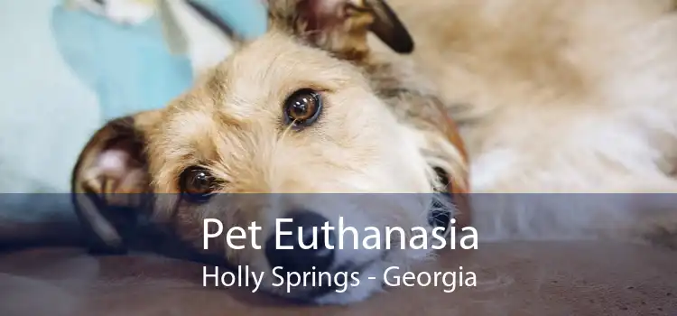 Pet Euthanasia Holly Springs - Georgia