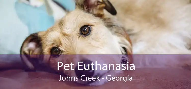 Pet Euthanasia Johns Creek - Georgia