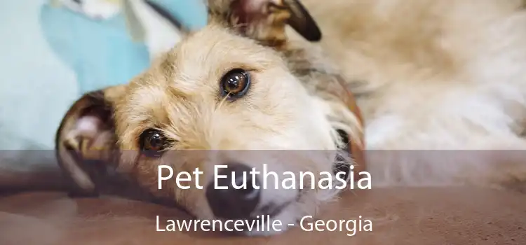 Pet Euthanasia Lawrenceville - Georgia