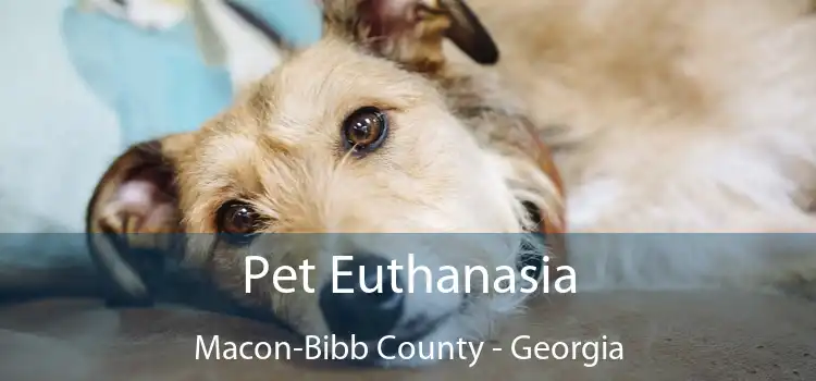 Pet Euthanasia Macon-Bibb County - Georgia
