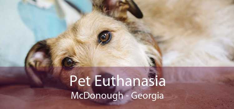 Pet Euthanasia McDonough - Georgia