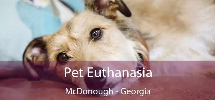 Pet Euthanasia McDonough - Georgia