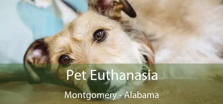 Pet Euthanasia Montgomery - Alabama