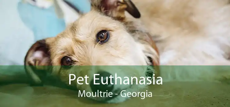 Pet Euthanasia Moultrie - Georgia