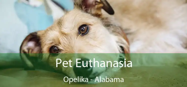 Pet Euthanasia Opelika - Alabama