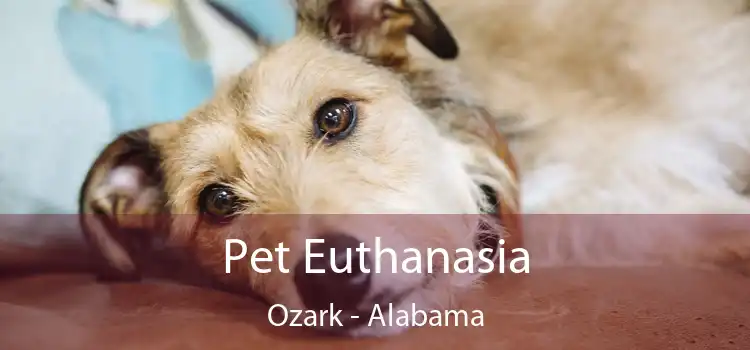 Pet Euthanasia Ozark - Alabama