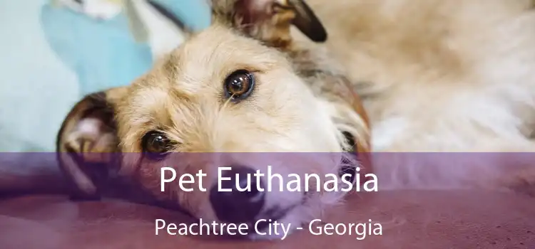 Pet Euthanasia Peachtree City - Georgia