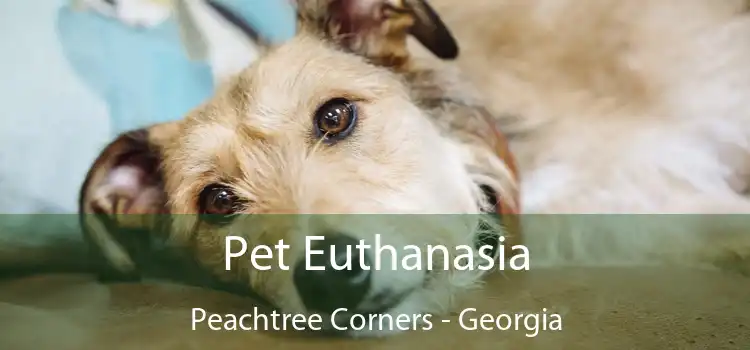 Pet Euthanasia Peachtree Corners - Georgia