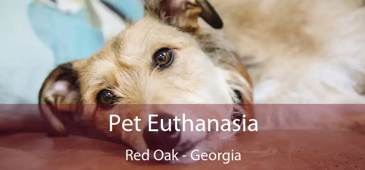 Pet Euthanasia Red Oak - Georgia