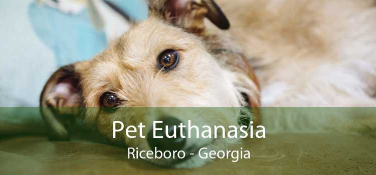 Pet Euthanasia Riceboro - Georgia