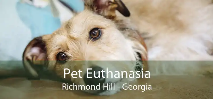 Pet Euthanasia Richmond Hill - Georgia