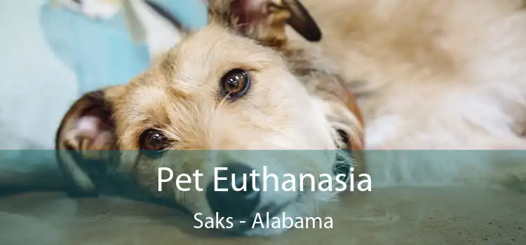 Pet Euthanasia Saks - Alabama