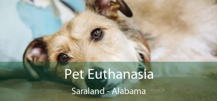 Pet Euthanasia Saraland - Alabama