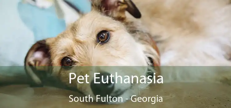 Pet Euthanasia South Fulton - Georgia