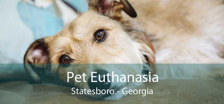 Pet Euthanasia Statesboro - Georgia