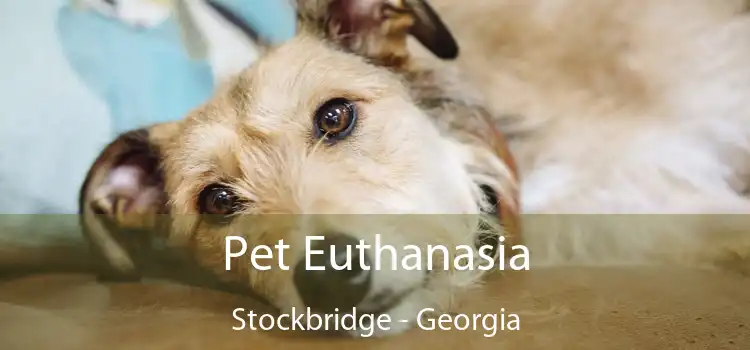 Pet Euthanasia Stockbridge - Georgia