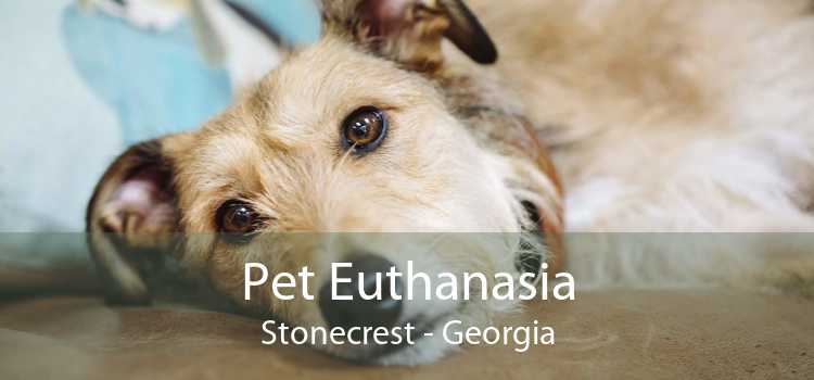 Pet Euthanasia Stonecrest - Georgia