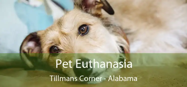 Pet Euthanasia Tillmans Corner - Alabama