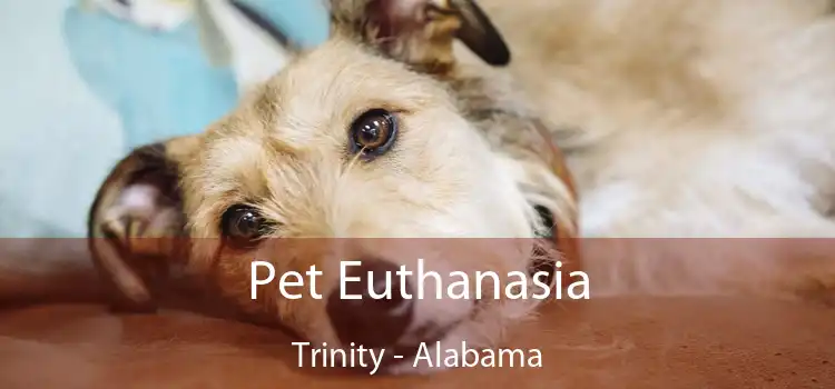 Pet Euthanasia Trinity - Alabama