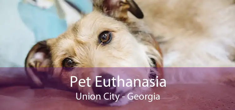 Pet Euthanasia Union City - Georgia
