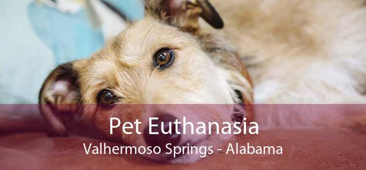 Pet Euthanasia Valhermoso Springs - Alabama