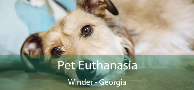 Pet Euthanasia Winder - Georgia