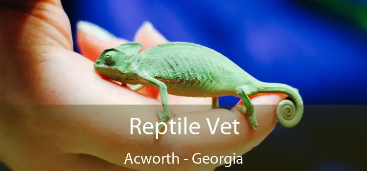 Reptile Vet Acworth - Georgia