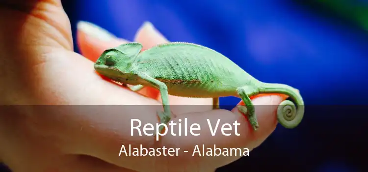 Reptile Vet Alabaster - Alabama