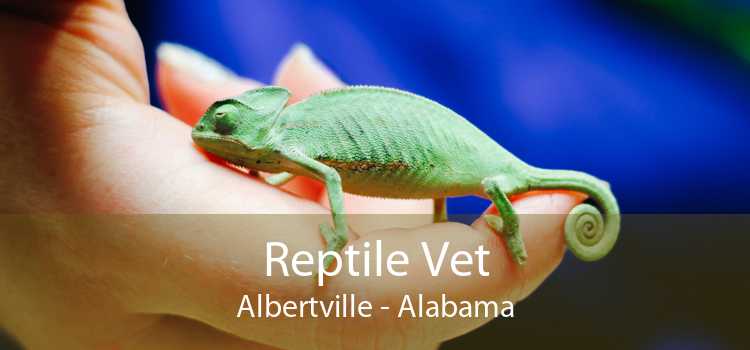 Reptile Vet Albertville - Alabama