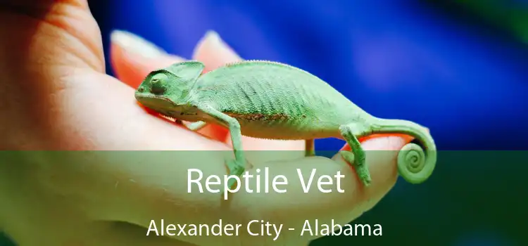 Reptile Vet Alexander City - Alabama