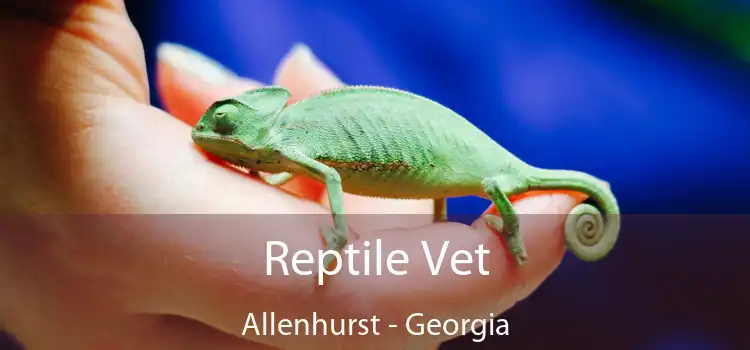 Reptile Vet Allenhurst - Georgia