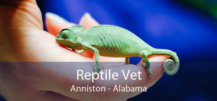 Reptile Vet Anniston - Alabama