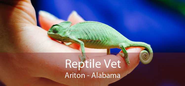 Reptile Vet Ariton - Alabama