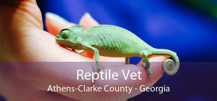 Reptile Vet Athens-Clarke County - Georgia