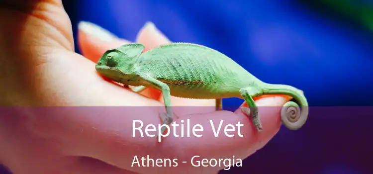 Reptile Vet Athens - Georgia