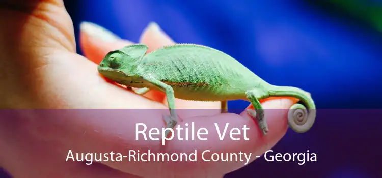 Reptile Vet Augusta-Richmond County - Georgia