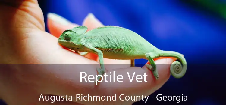 Reptile Vet Augusta-Richmond County - Georgia